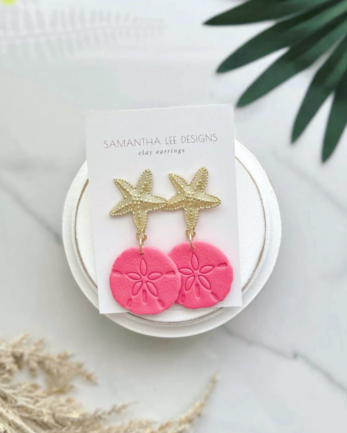Coral Sand Dollar